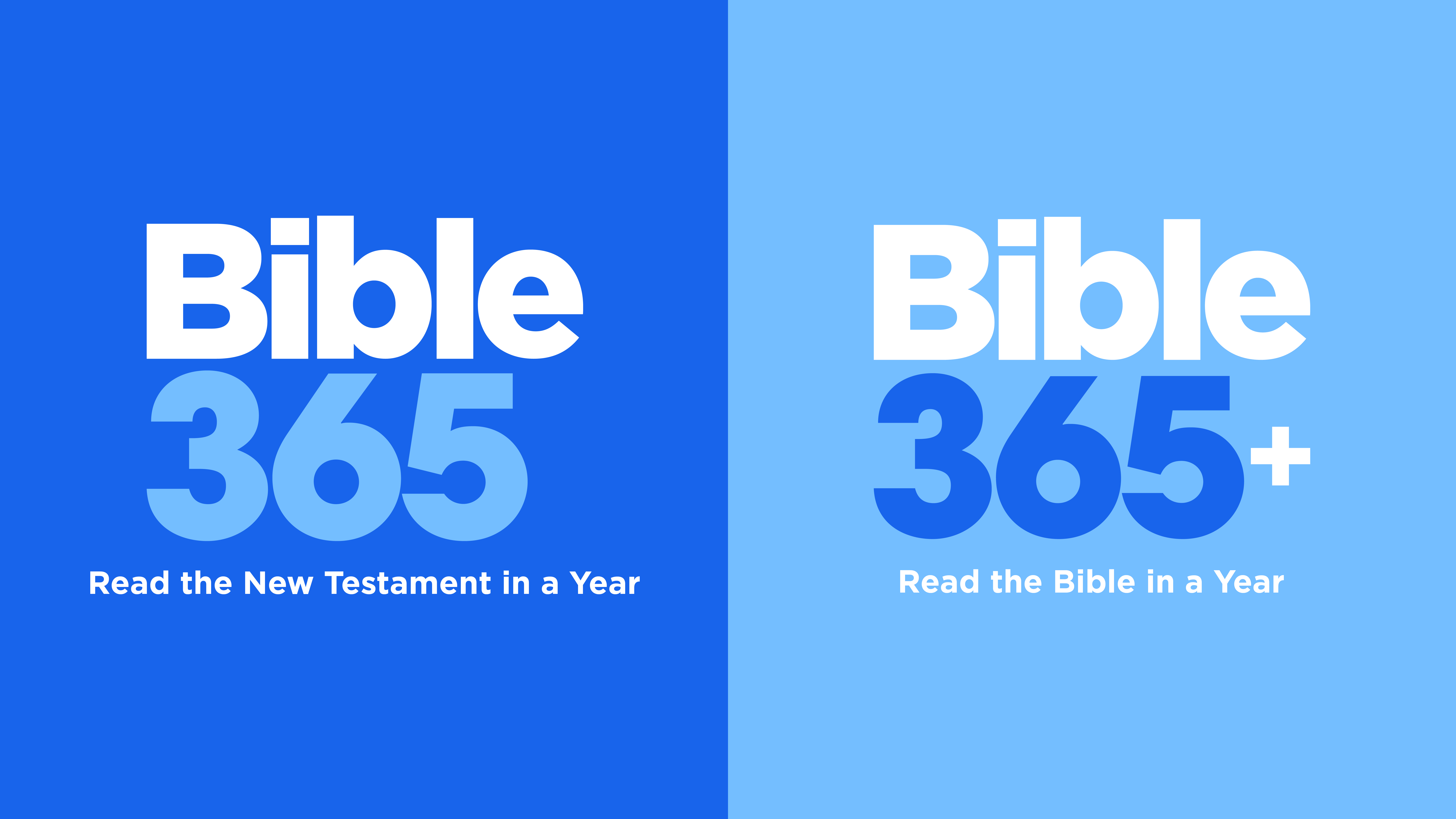 Bible 365