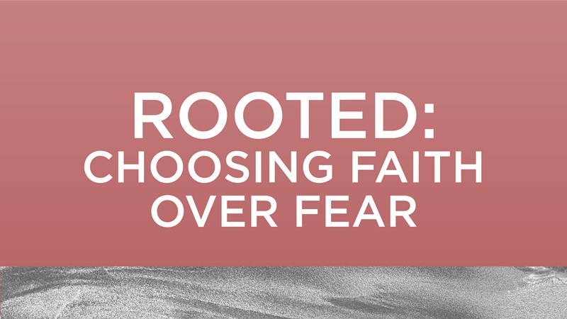 Rooted: Choosing Faith Over Fear